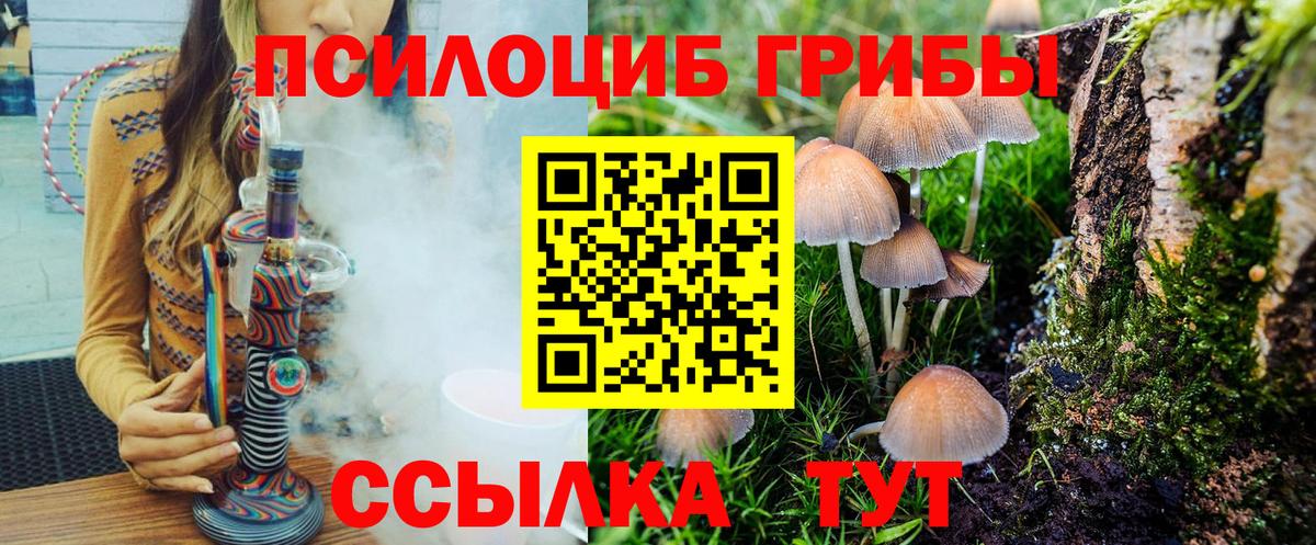 Галлюциногенные грибы Cubensis Среднеуральск