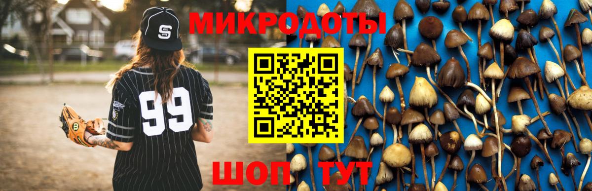 Среднеуральск  Галлюциногенные грибы мухоморы  где продают   Вход с VPN 